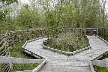 Découvrez la Réserve Naturelle du Romelaere comme vous ne l'avez jamais vue Réserve Naturelle du Romelaere