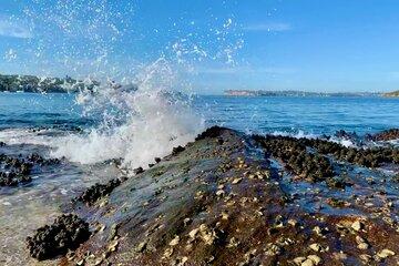 Une vague s'échoue sur le rivage