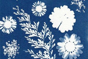 Cyanotype 