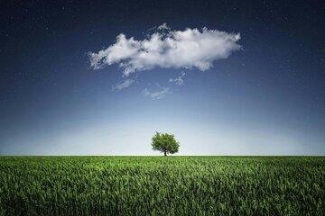 espace et environnement