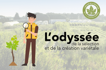 L'odyssée de la sélection et création variétale