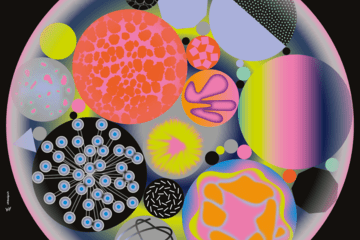 Nuit des Chercheur.e.s Albi 2025