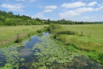 Paysage du Parc naturel des marais du Cotentin et du Bessin