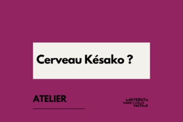 Cerveau Késako ?