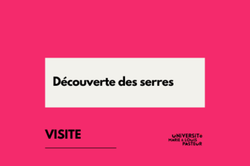 Visite des serres du BIOME