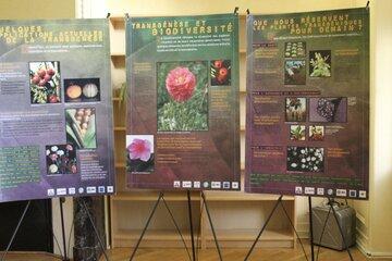 Biotechnologies végètales