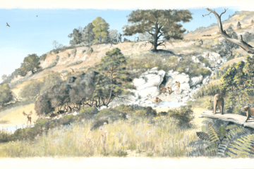 Dessin représentant un environnement ancien avec des animaux