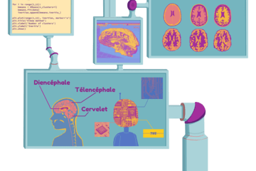 du cerveau à l'IA
