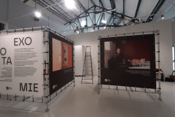 Exposition 