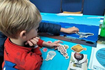 un atelier du muséum lors de la fête de la science