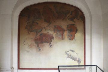 Fresque préhistorique, représentant des bovidés, reproduite dans le couloir de l'IPH