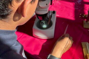 Enfant regardant dans un microscope