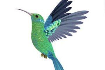 évocation d'un oiseau symbolique en Guyane