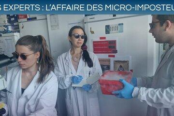 Les experts