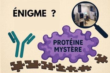 Dans ce jeu d'énigme il faut découvrir une protéine mystère