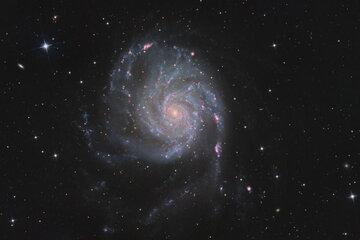 Galaxie M101 dite du Moulinet dans la Grande Ourse Galaxie M101 dite du Moulinet dans la Grande Ourse