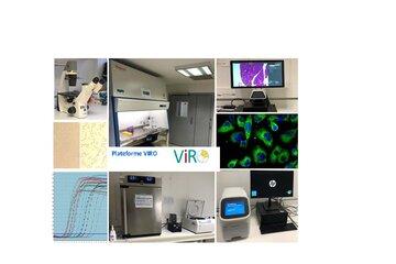Plateforme VIRO