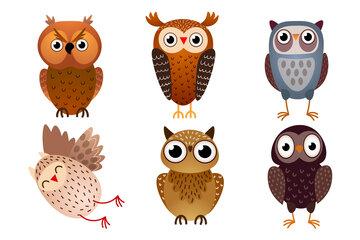 dessins d'hiboux