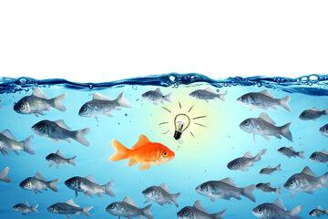 Poisson avec une idée à contrecourant des autres poissons