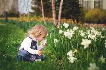 Un enfant assis sur l'herbe sent une fleur blanche