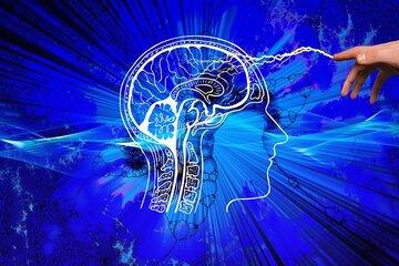 intelligences