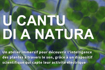 Affiche de l'atelier 