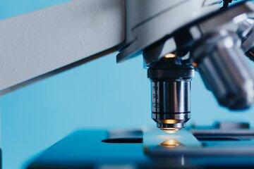 Microscope 