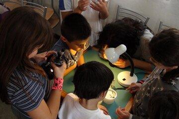 animation microscope