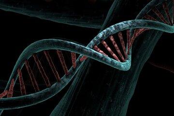 adn biologique 