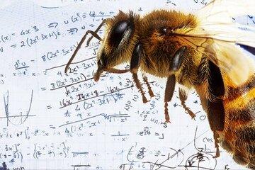 intelligence-abeilles