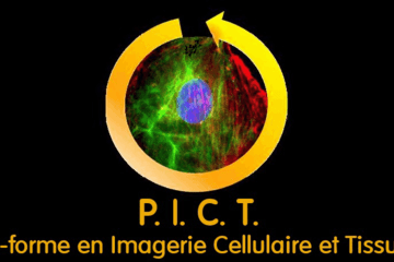 URCATech-Pict 