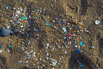 microplastiques