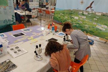 Observation d'écailles de saumon avec des loupes binoculaires