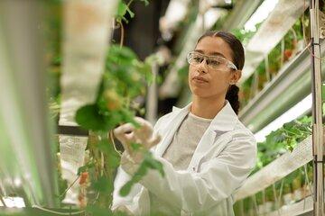 sciences et ingénierie de l environnement