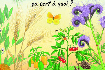 La biodiversité, ça sert à quoi ?