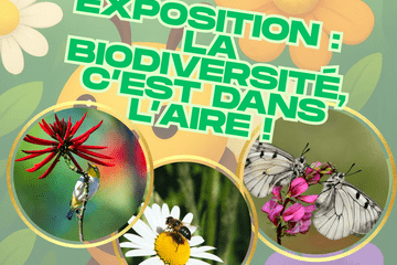 expo