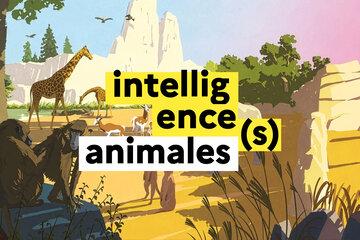 Jeu-concours Intelligences animales