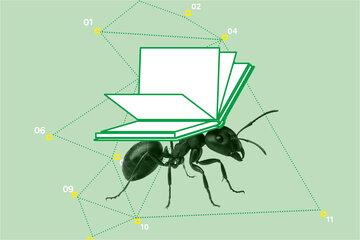 Ressources Fête de la science 2025