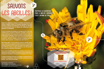 abeille