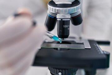 microscope et pipette