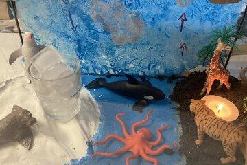 maquette des courants atmosphériques avec une zone froide et une zone chaude, des animaux sur chaque zone, des flèches pour montrer les courants.