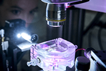 Expérience couplant optique et microfluidique pour l'observation biologique