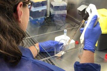 femme-pipette-recherche