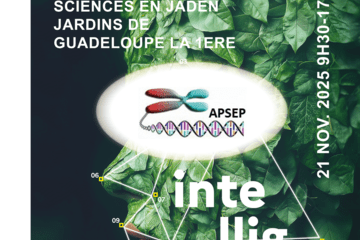 Sciences en Jaden