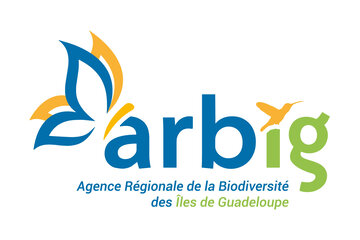 ARBIG