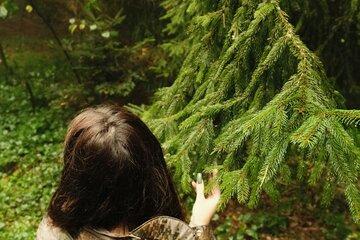 Une femme de dos prend entre ses doigts une branche d'arbre