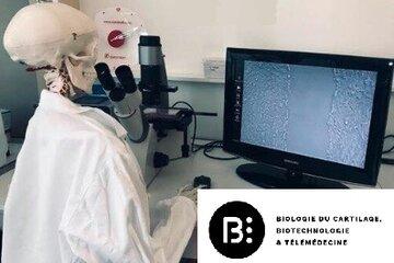 Un chercheur dans son laboratoire entrain d'évaluer l'efficacité des traitements appliqués sur les cellules 