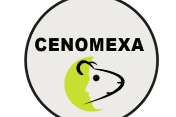Image représentant une tête de rat et le nom du Cenomexa au dessus