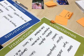 Cartes pour un atelier domino de la biodiversité