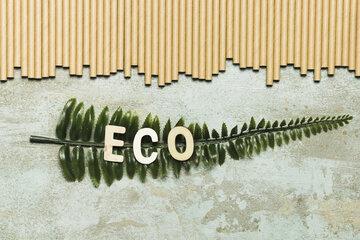 Mur écologique
